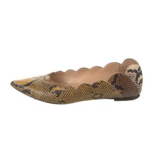 Chloe Snake Print Pointed toe flats
